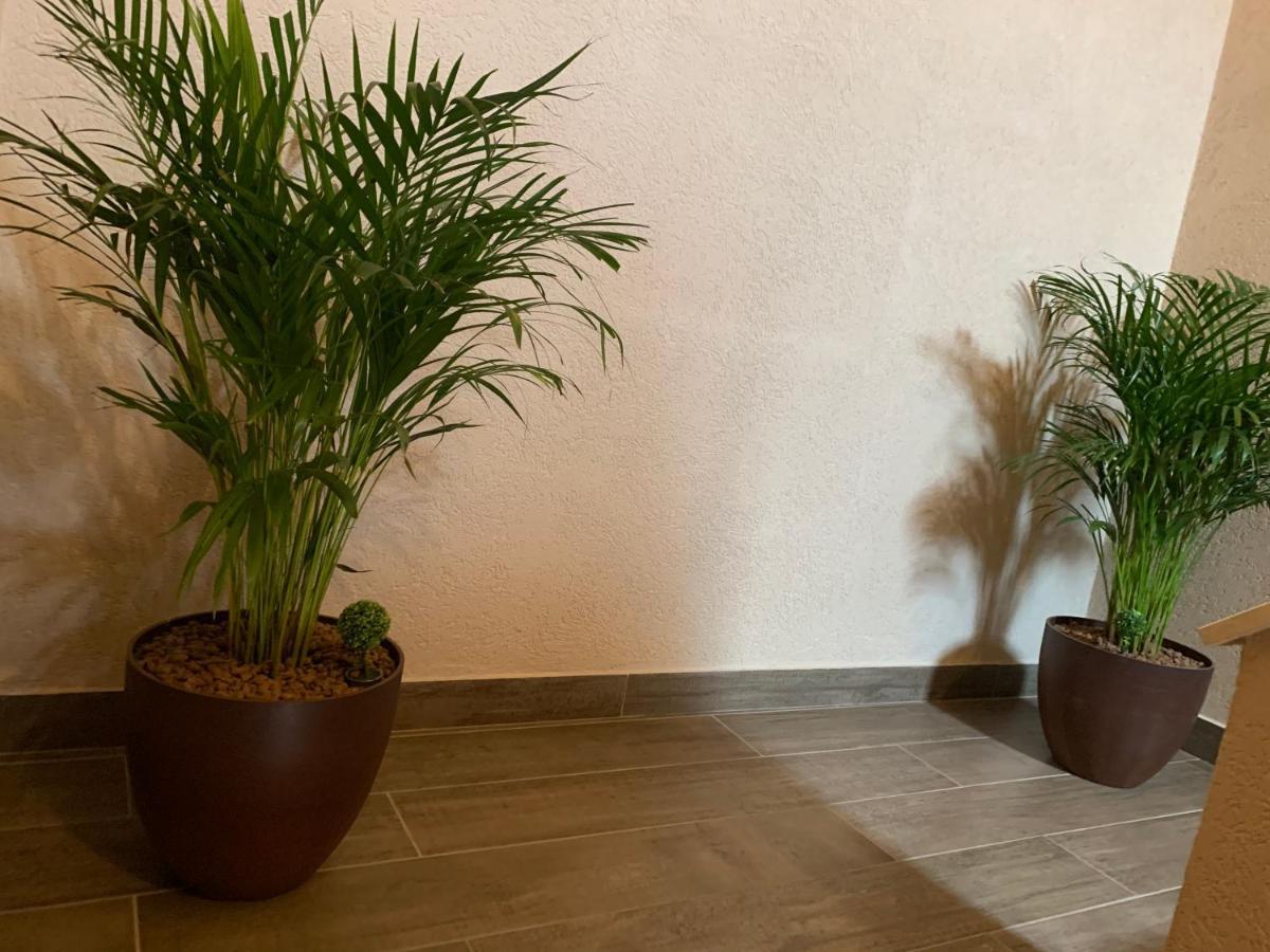 Braun Residence Săcele Екстериор снимка