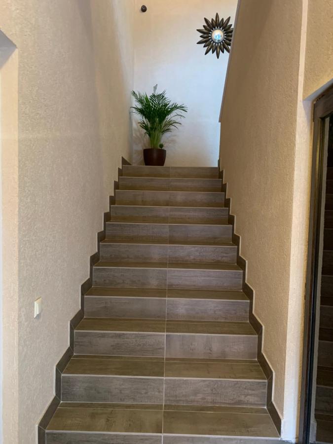 Braun Residence Săcele Екстериор снимка